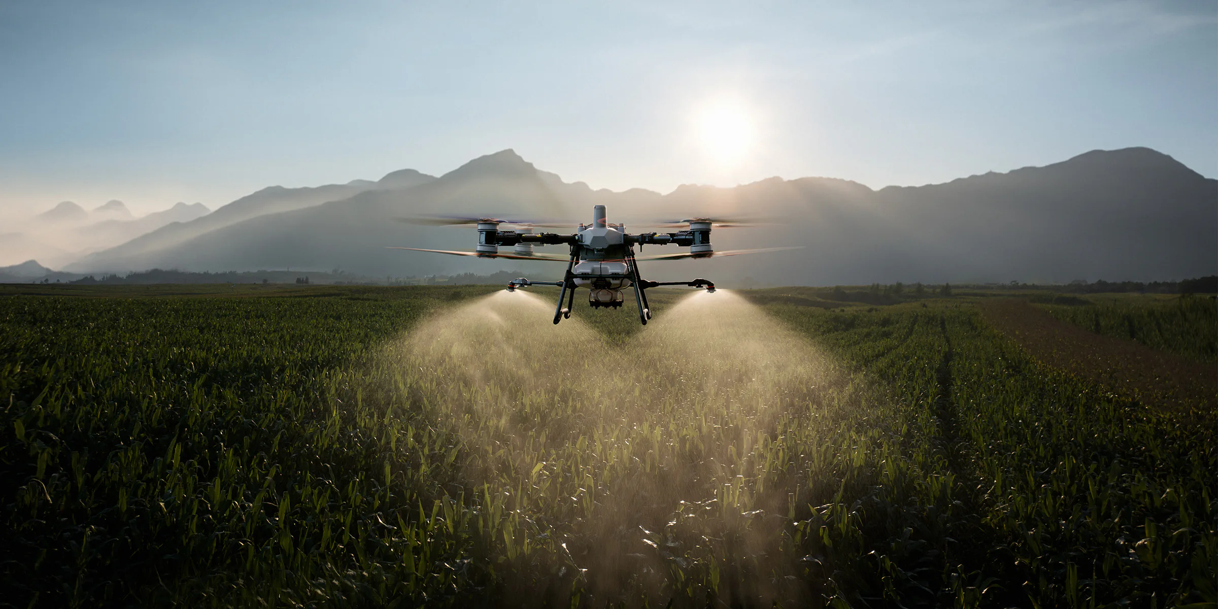 Dron agrícola DJI Agras T100 pulverizando un maizal al amanecer, con montes al fondo